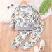 【2Y-7Y】2-piece Kids Cute Colorful Dinosaur Animal Plant Print Round Neck Sweatshirt And Pants Set